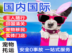 三家子航空空运国际宠物托运 【国